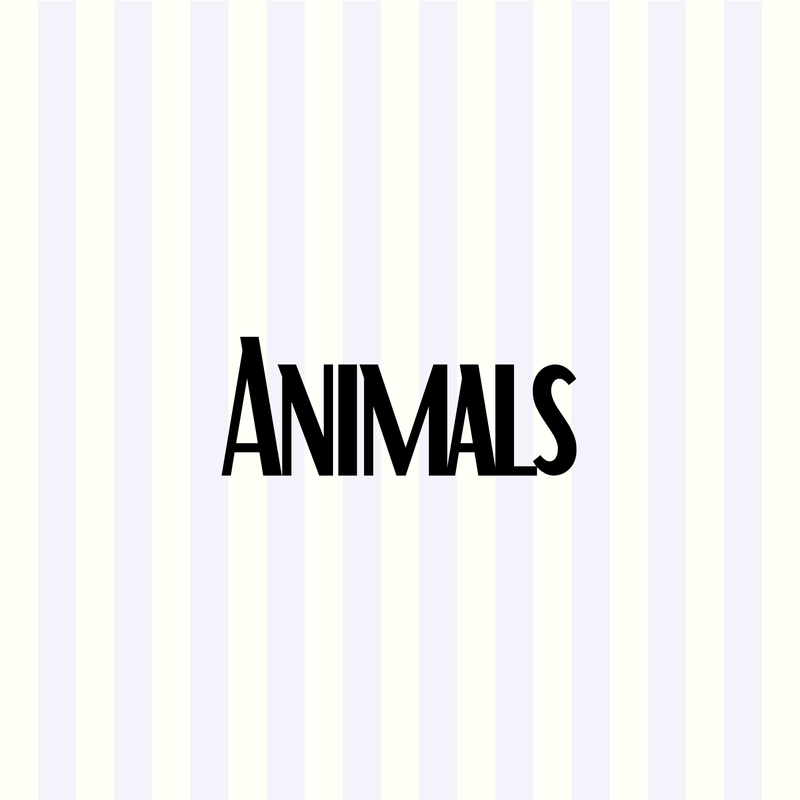 Animals