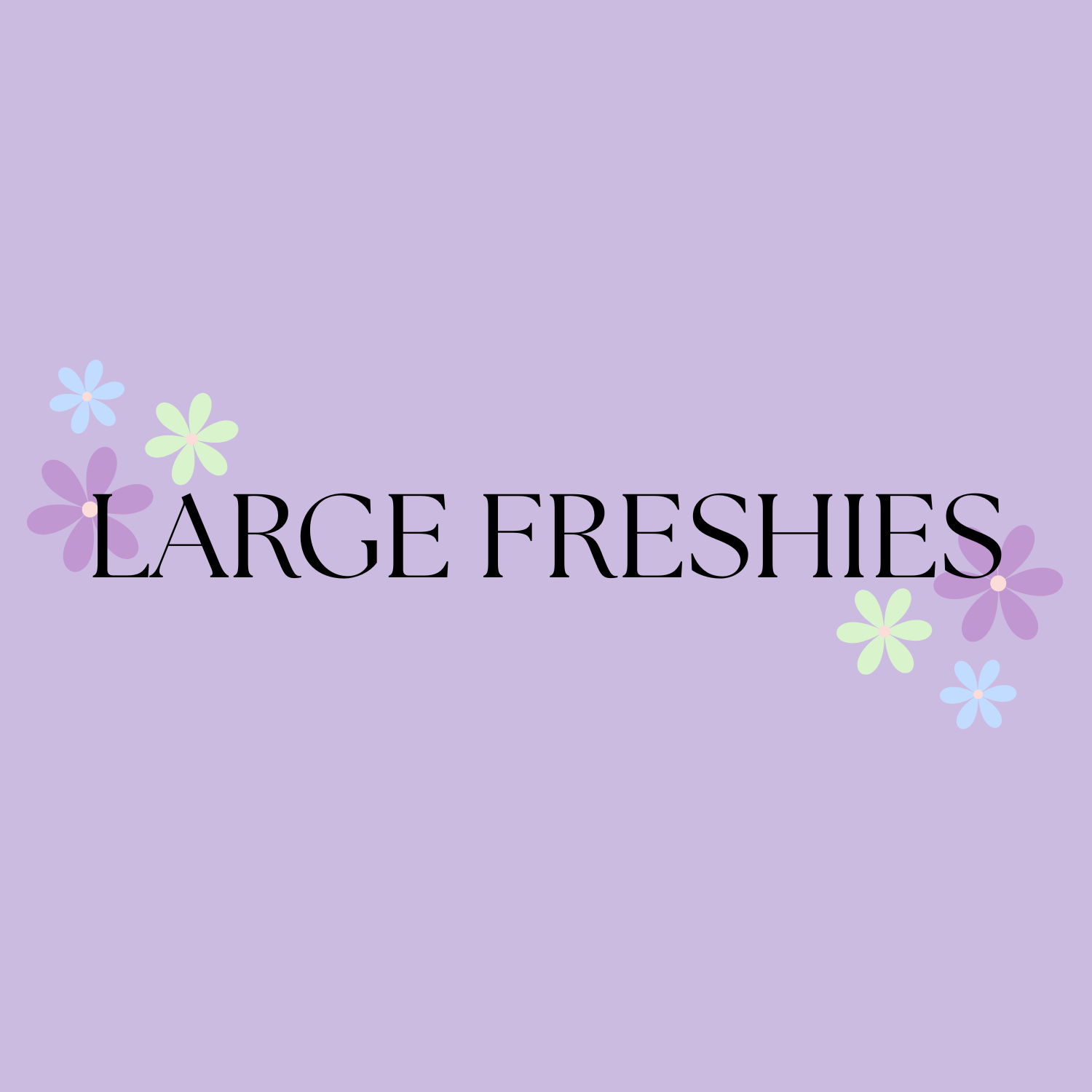 Large Freshies